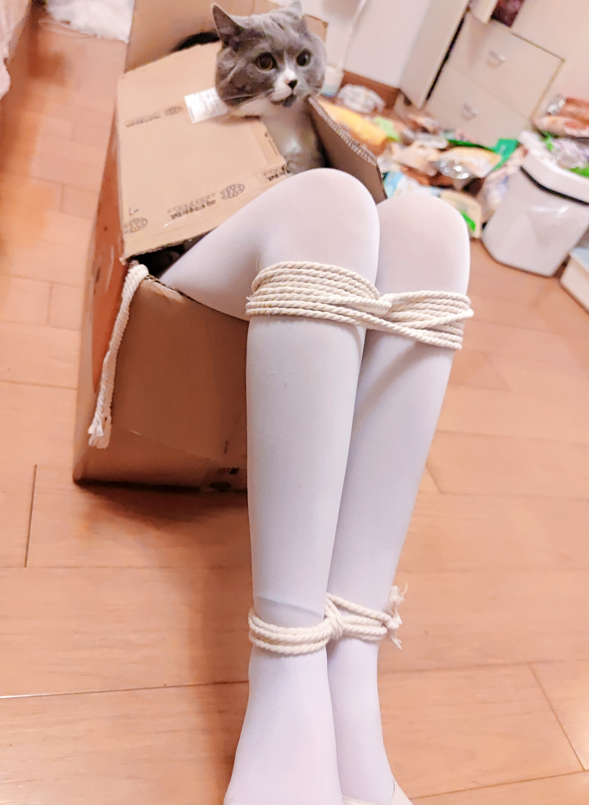 地瓜小盆友 – 写真合集下载